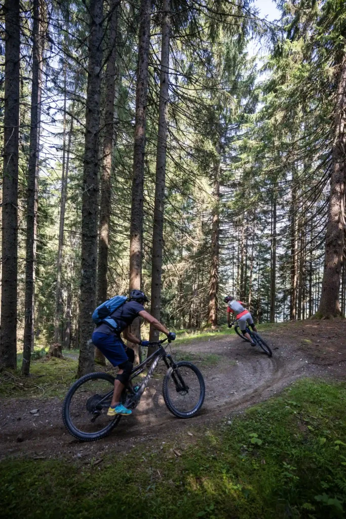 singletrail waldgefluester grossarl